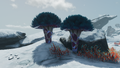 A pair of Flora Species 17