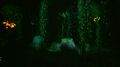 Kelp Forest at night