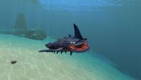 A Sand Shark in the Crash Zone