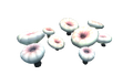 Thumbnail for version as of 12:45, 9 August 2016