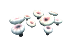 Deep Shroom Flora.png