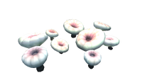 Deep Shroom Flora.png