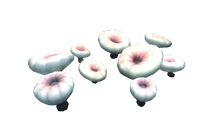 Deep Shroom Flora.png