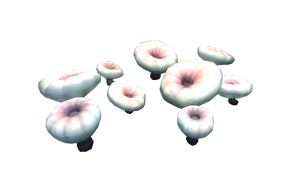 Deep Shroom Flora.png