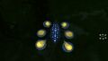 Hoverfish