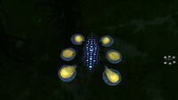 Hoverfish