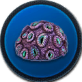 Thumbnail for version as of 17:56, 20 February 2016