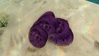 A pile of purple Table Coral Samples