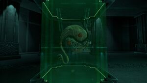 R5.jpg