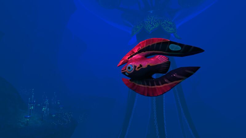 File:RedFeatherfishTS.jpg