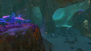 Safe Shallows Caves6.jpg