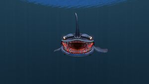 SandShark4.jpg