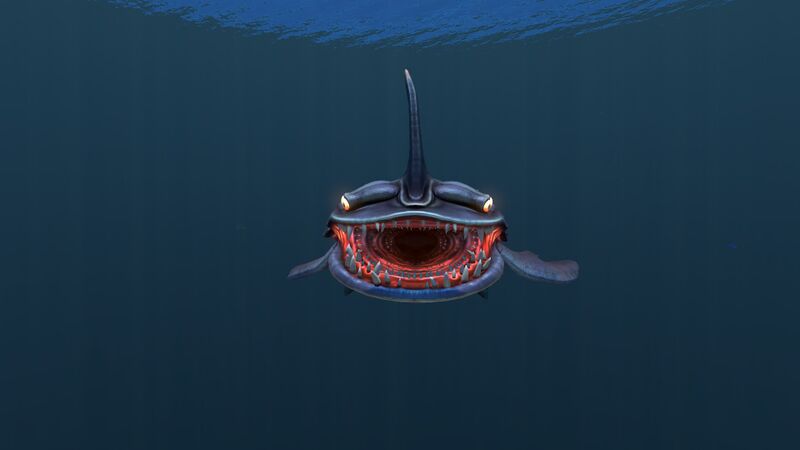 File:SandShark4.jpg