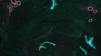 The caves' ceiling