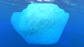 Iceberg found in the Arctic