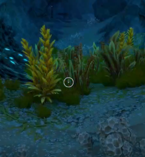 Beaus & Reeds.png