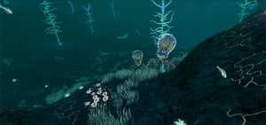 Crabsquiddev.png