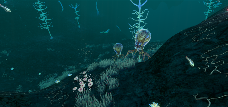 File:Crabsquiddev.png