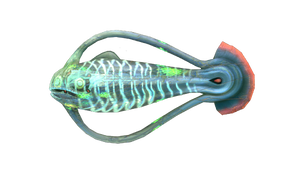 Infected Spinefish.png