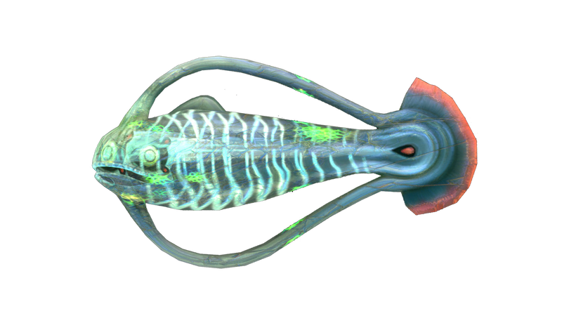 File:Infected Spinefish.png