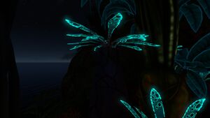 Purple Vase Plant night.jpg