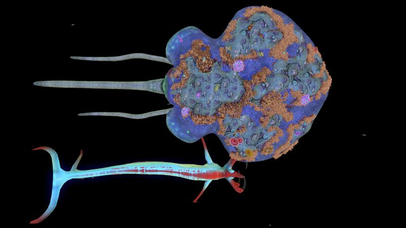 File:ReefbackReaper2.jpg