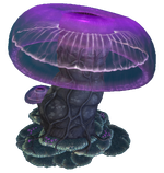 Snake Mushroom Flora.png