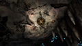 Thumbnail for version as of 07:01, 7 August 2021