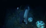 Wrack 10.jpg