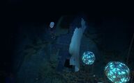 Grand Reef Wreck 2