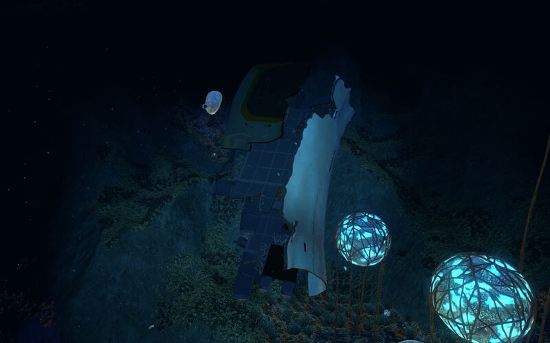 File:Wrack 10.jpg