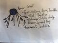 Thumbnail for version as of 22:49, 11 May 2018