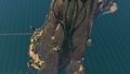 A Sea Dragon surfs down the island