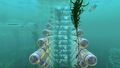 HQ SeaBase 25.jpg