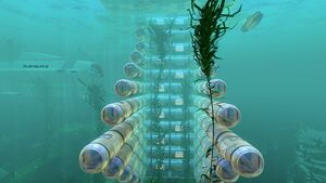 HQ SeaBase 25.jpg