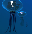 Thumbnail for version as of 03:01, 7 August 2021