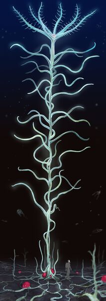 File:Blood Kelp Concept Art 2.jpg