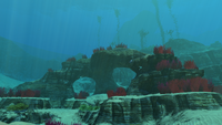 Arch-like rock structures in the biome.