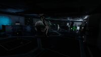 The laboratory