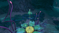 Stalk retracting animation