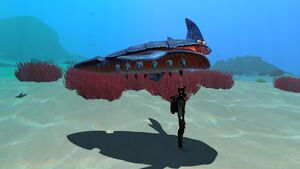 SizerefSandShark.jpg
