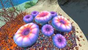 AcidMushroomDay.jpg