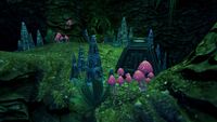Some of the Alien Cache's Flora