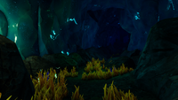 A large tunnel within the biome