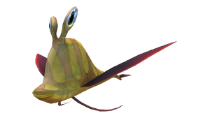 Garryfish Fauna (BZ).png