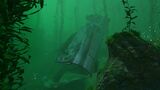 KelpForestWreck-2.jpg