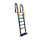 Ladder Icon.png