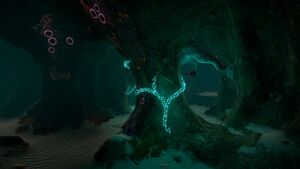 MushroomForestCavesEntranceArea.jpg