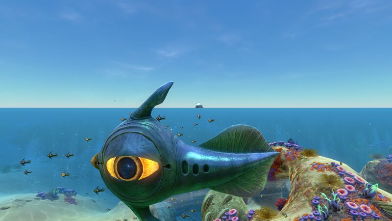 File:Peeper (4).jpg