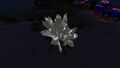 A Quartz Crystal by Night